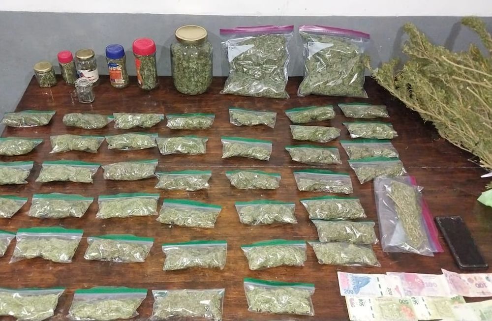 La marihuana decomisada en San Carlos. Gentileza Ministerio de Seguridad.