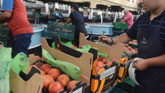 V Ronda de Negocios Argentina - Chile busca potenciar el intercambio comercial en alimentos, bebidas y productos de la agroindustria.