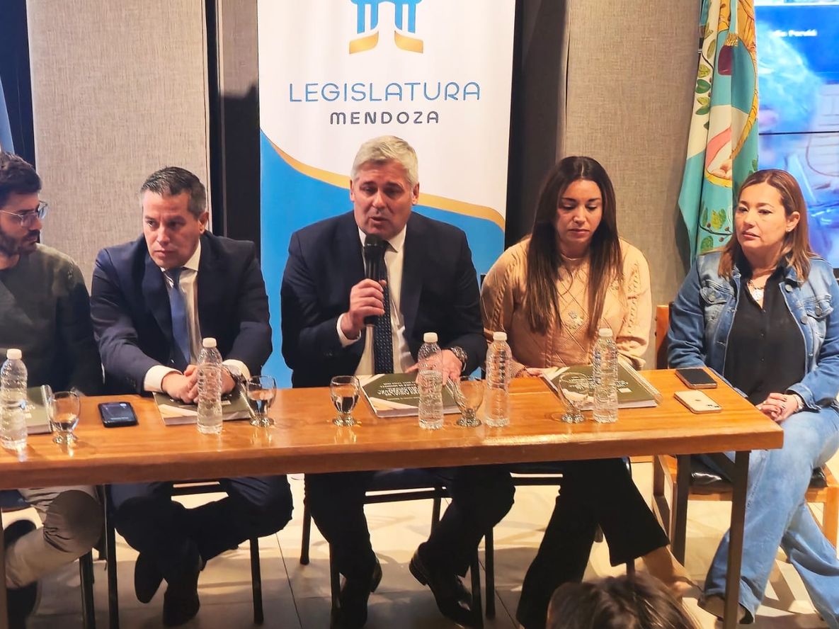 El presidente de la Bicameral de Seguridad, Germán Gómez, en la presentación del informe anual de la comisión.&nbsp;