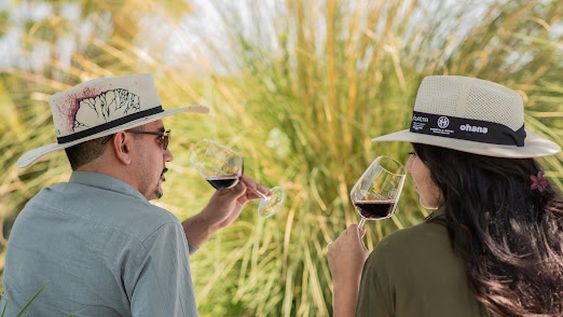 verano en mendoza: huentala wines invita a sus picnics entre vinedos en gualtallary verano en mendoza: huentala wines invita a sus picnics entre vinedos en gualtallary
