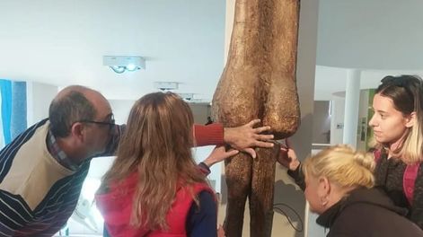 Los Andes | El Museo de Ciencias Naturales Cornelio Moyano busca abrir cada vez más sus puertas para posicionarse como el primer museo accesible de Mendoza