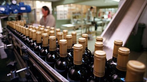 Los Andes | En los diez primeros meses de 2023, Argentina exportó 165 millones de litros de vino, es decir, casi 64 millones de litros menos que en el mismo período de 2022; lo que implica una caída del 27,8%.