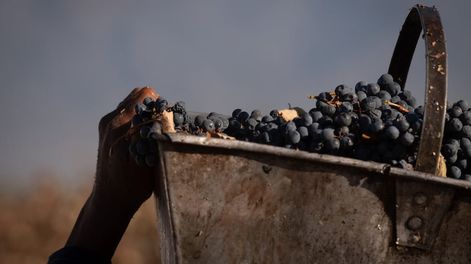 Los Andes | XLPUZQRPH5C4BM5FJXF726EJ6M.JPG?quality=75&smart=true&auth=b7d6427ed78cb1739b7dd7a9f89f8d85b18ef97b97d91935f1ddec1017ee4fbe&width=980&height=640