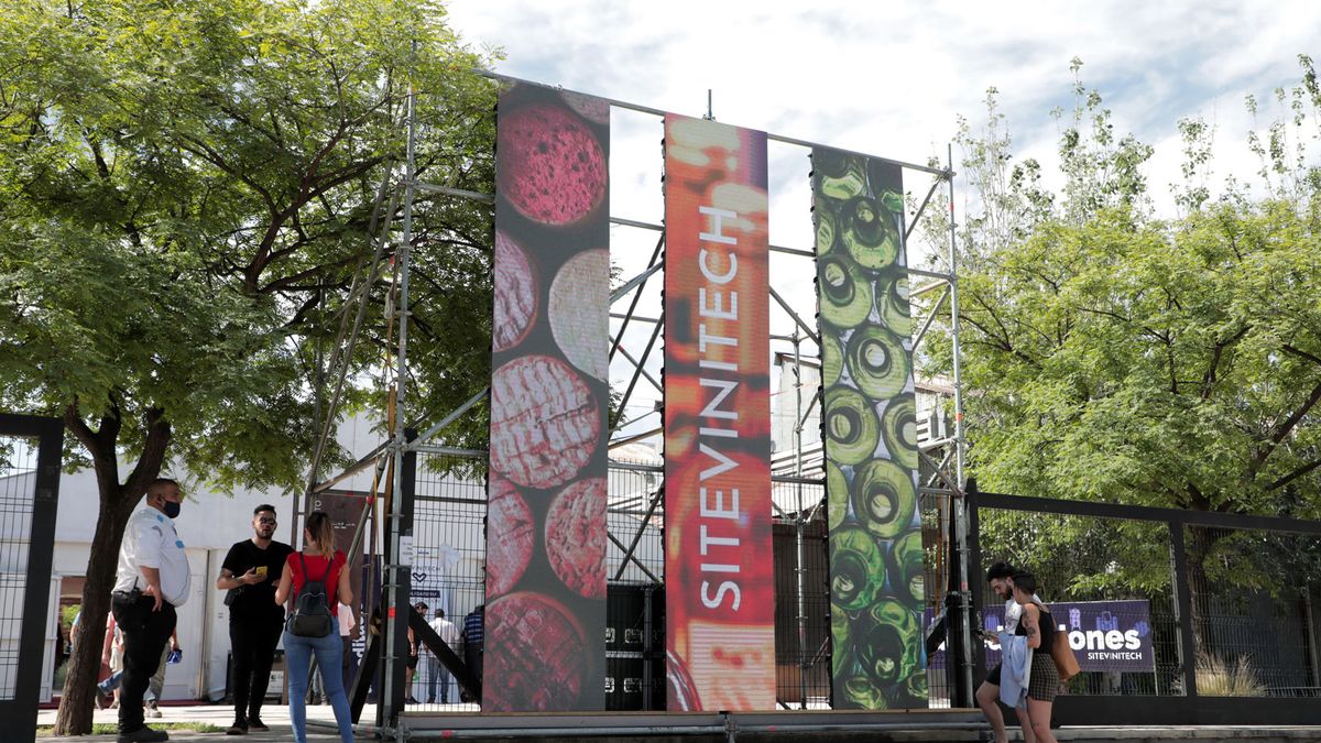Sitevinitech 2026 en Mendoza: innovación, negocios y tecnología para impulsar a la vitivinicultura