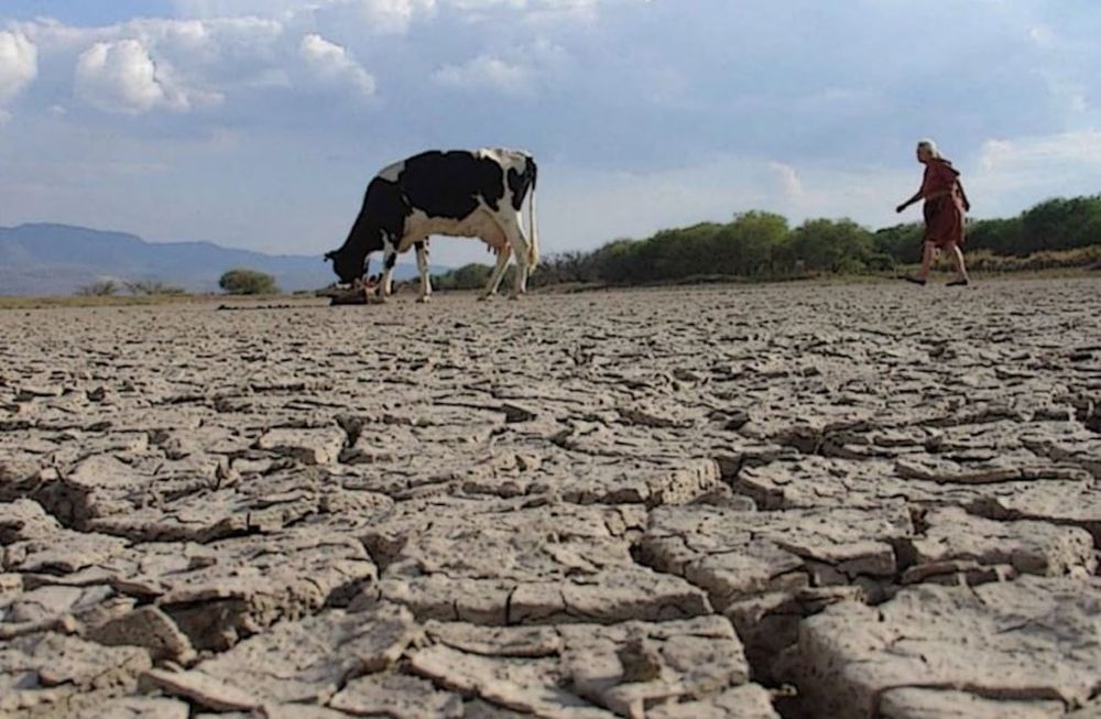 En Argentina hay siete millones de hectareas afectadas por la sequía