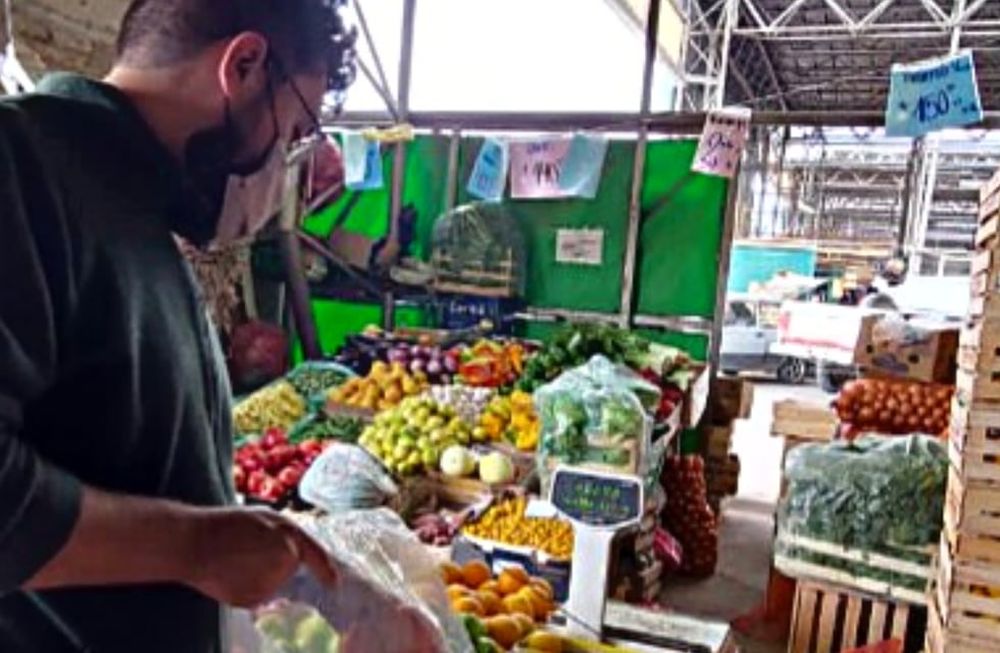 Las frutas consideradas hospederos de mosca, que hayan sido producidas en áreas de escasa prevalencia y tengan por destino el consumo en fresco o su industrialización en áreas libres de la plaga deben realizar una gestión ante el Iscamen