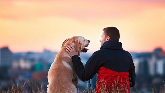 El estudio de la psicología sobre empatía y antropomorfismo permite comprender por qué algunas personas establecen conversaciones frecuentes con sus mascotas.