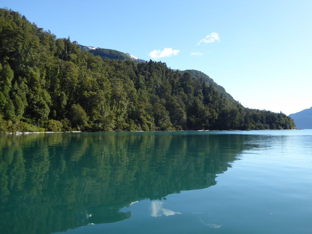 Paisaje. Bosque de alerces reflejado en el lago Menéndez, Parque Nacional Los Alerces.&nbsp;