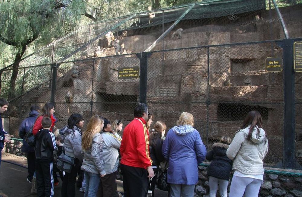 Postales del ex Zoo de Mendoza antes de que sea reconvertido a Ecoparque