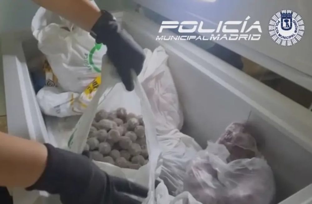 La policía de Madrid encontró 200 kilos de comida podrida en un restaurante chino.