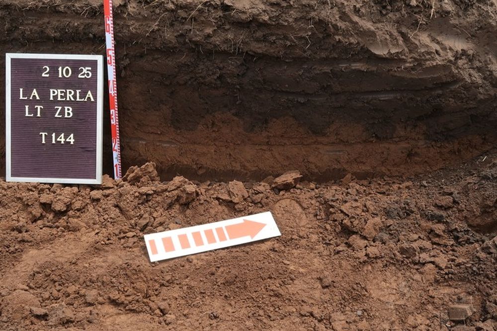 Identifican a más de diez desaparecidos en el predio del excentro clandestino La Perla