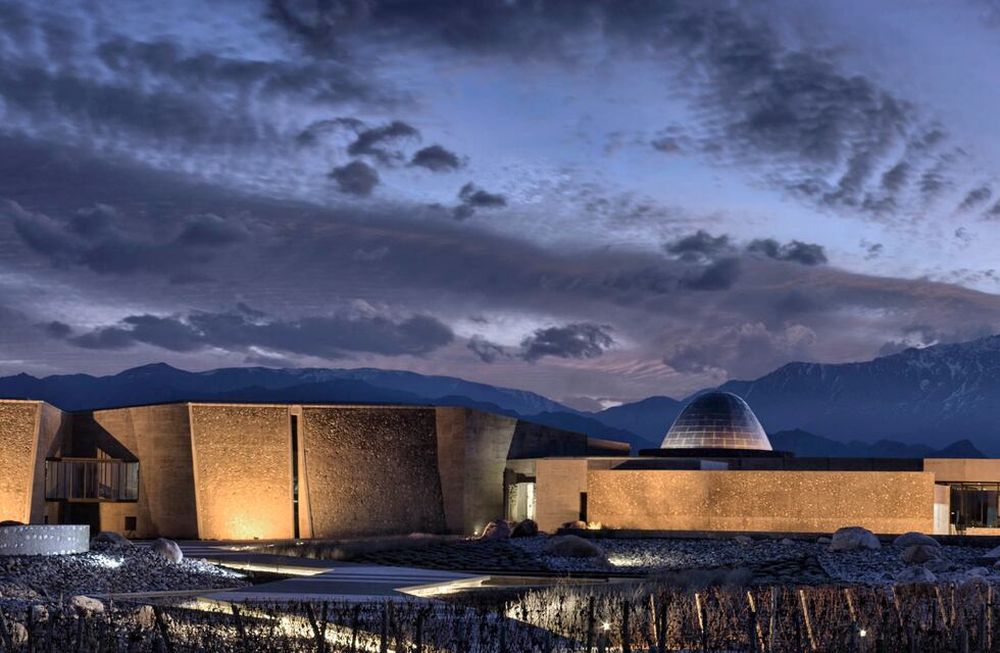 El mundo otra vez premió a la vitivinicultura de Mendoza