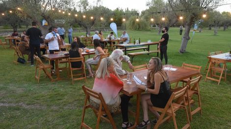 En la bodega Trapiche se realizo una nueva propuesta de verano de Sunsets verano en Maipú. Foto: José Gutierrez / Los Andes