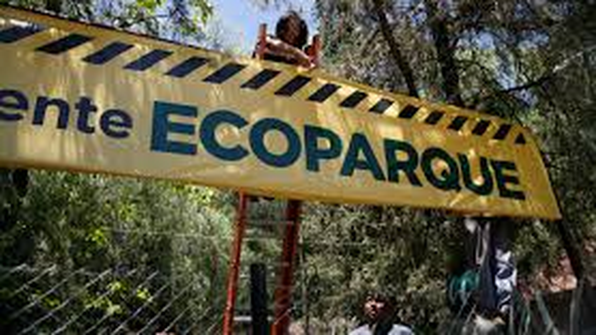 Ecoparque, 