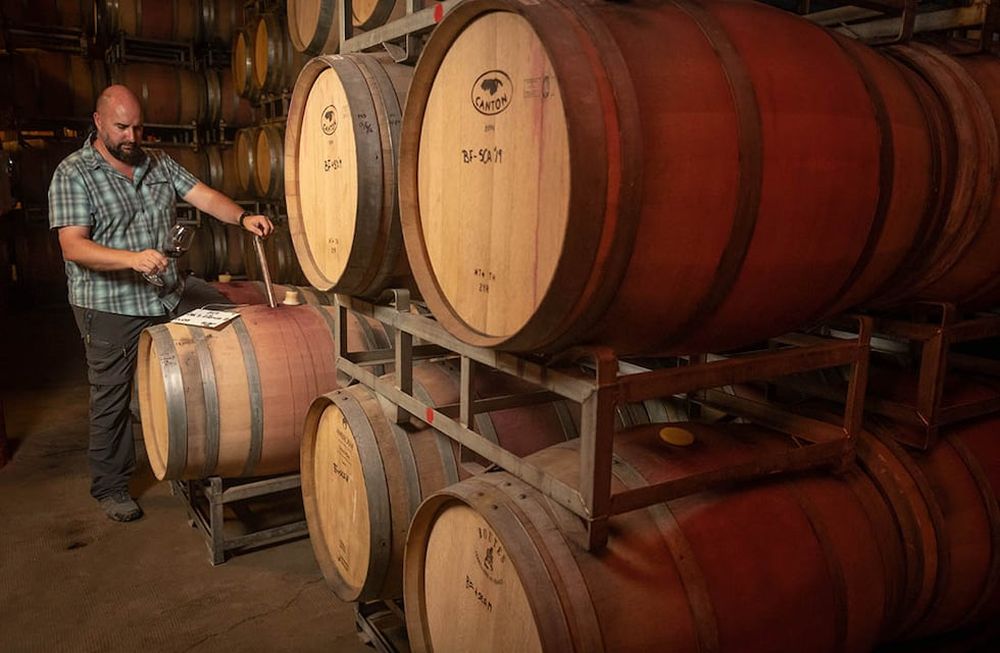 Esta semana, en el marco del aniversario de la declaración del Vino Argentino como Bebida Nacional, el INV lanzó el programa Vino Cercano, que habilita a que se venda vino en envases retornables.