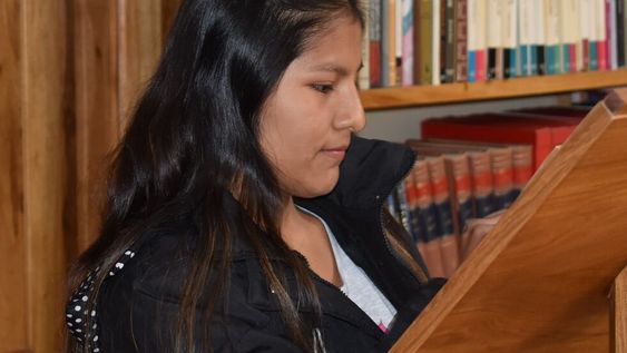 Marisol Inturias (21), la joven que murió tras ser atropellada por un conductor ebrio en Tupungato (Gentileza)