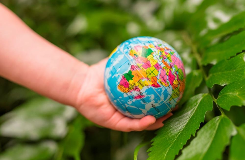 Pluralidad de miradas en torno a la educación ambiental para la diversidad biocultural