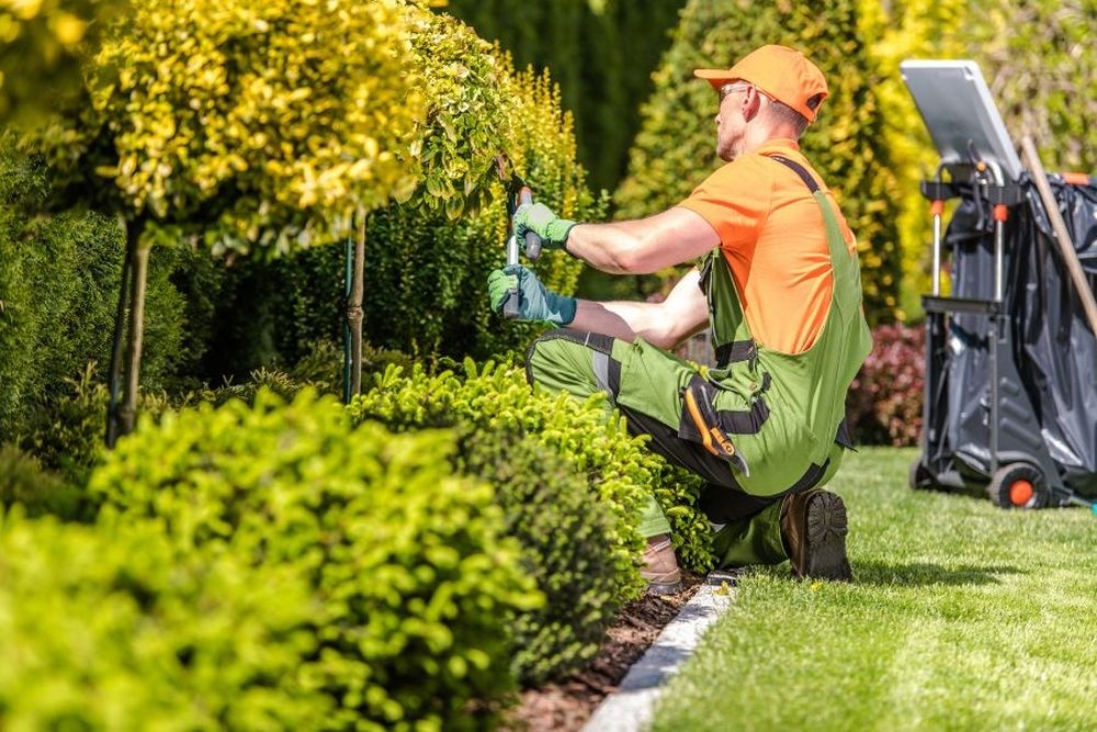 Cuánto cobra un jardinero por limpiar y mantener un jardín chico en abril 2026 (2)