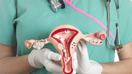 Piden a las mujeres mayores de 50 años que se hagan controles regulares para prevenir el cáncer de ovarios