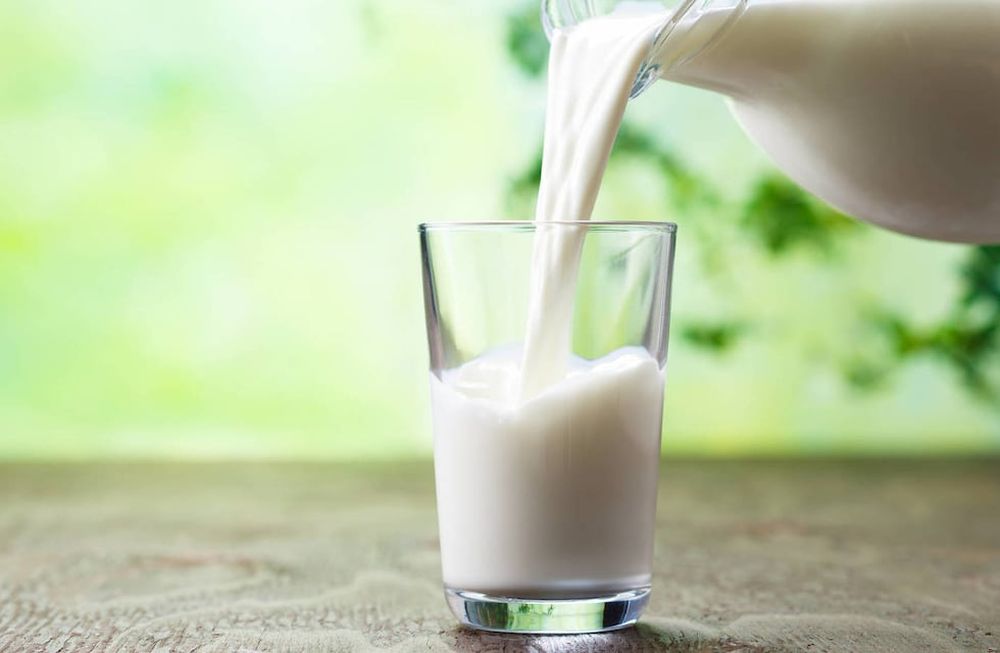 Imagen ilustrativa leche. Foto: Web