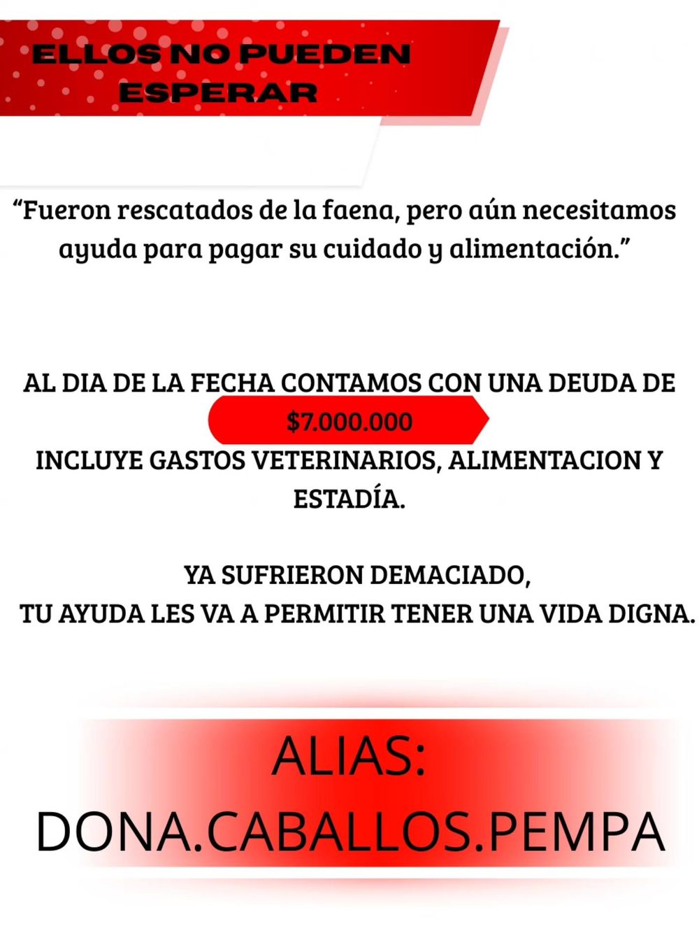 La Asociación PEMPA lanzó una campaña solidaria para ayudar a los caballos recuperados
