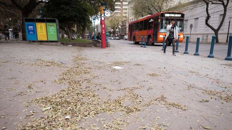 Contingencias Climáticas mantiene el alerta para hoy por vientos moderados e intensos.Foto: Ignacio Blanco / Los Andes