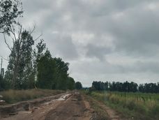 La situación obligó a los vecinos a utilizar caminos alternativos La situación obligó a los vecinos a utilizar caminos alternativos