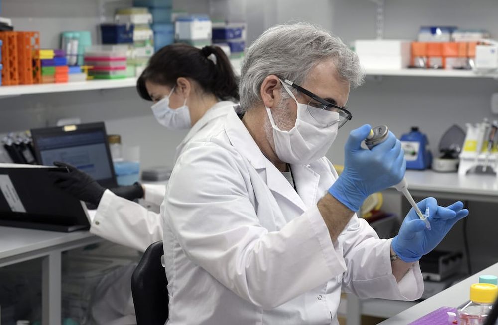 Se oficializaron los protocolos para el uso del suero equino. / AFP