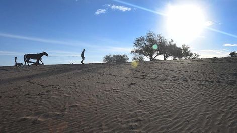 La sequía marca los caminos en zonas rurales y ganaderas. Foto: José Gutiérrez / Los Andes