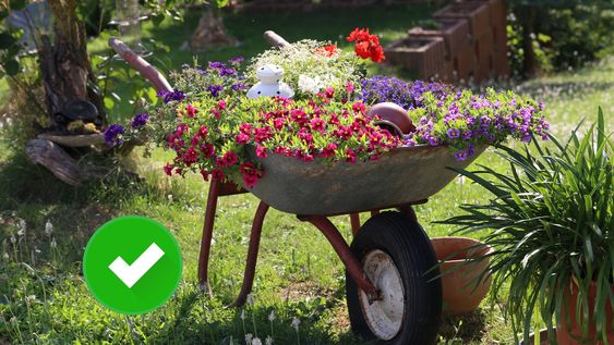 Trucos para tener un jardín soñado