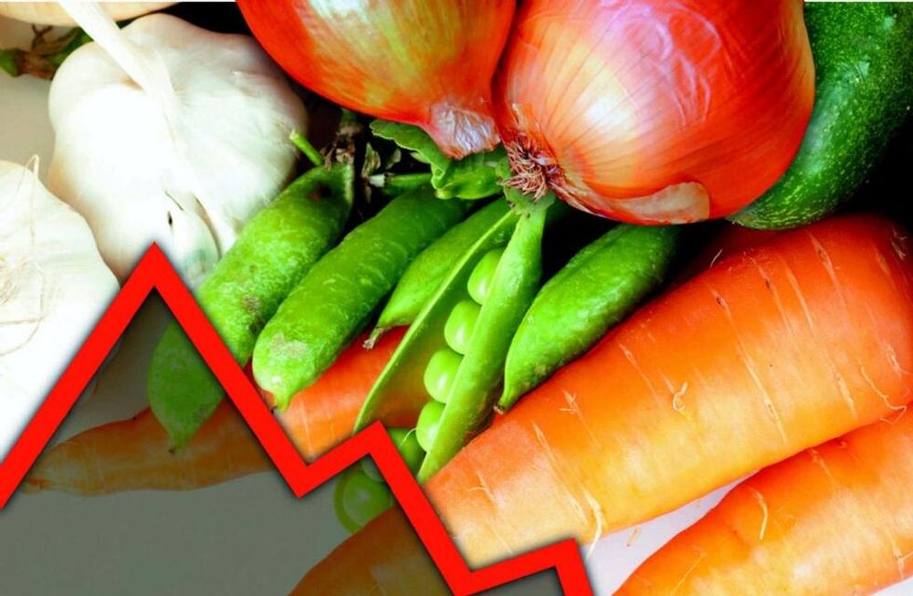 Bajan 8% las hectáreas con hortalizas de invierno