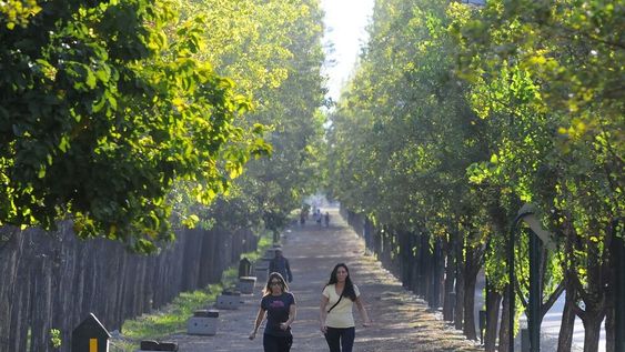Pronóstico: así estará el tiempo esta semana en Mendoza.