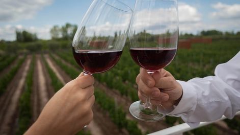 Guarda 14 | El tipo de copa va a depender de la elección del vino y el momento en que se lo tome - Foto: Ignacio Blanco / Los Andes