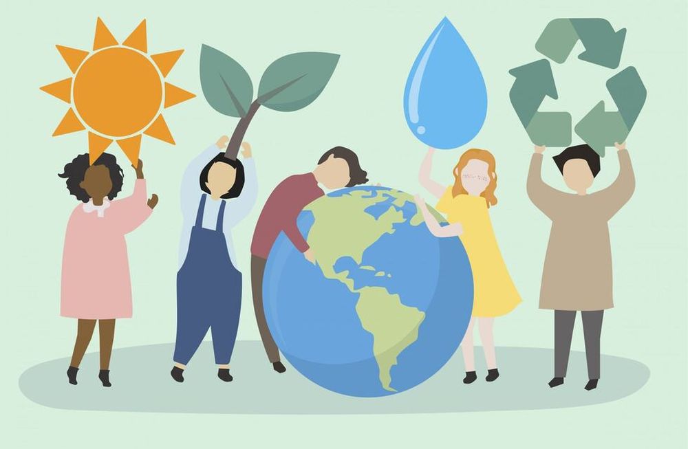 Cómo trabajar en el aula la Educación Ambiental.