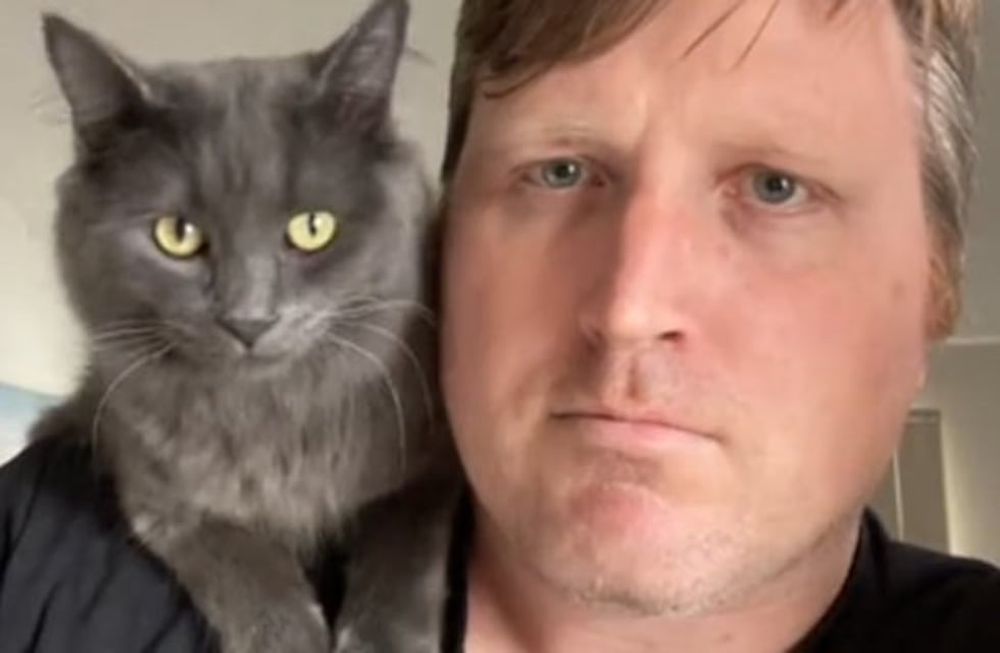 Un hombre asegura “hablar” el idioma de los gatos y hasta da clases a través de Tik Tok.