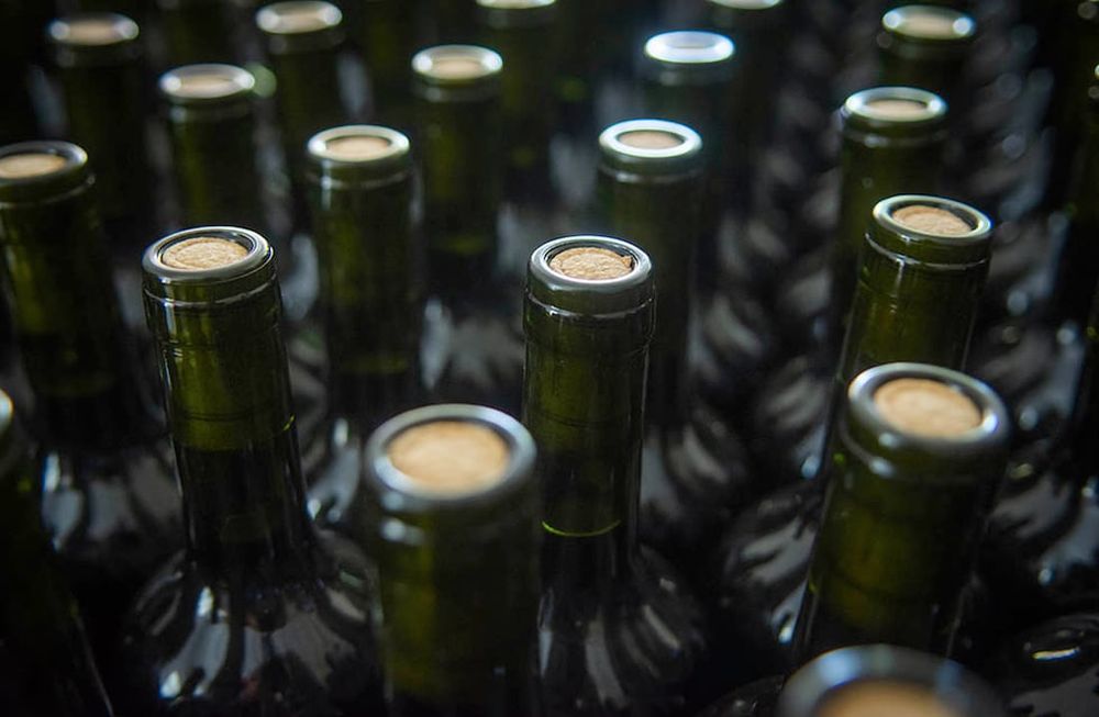 Será la primer intervención realizada por el Banco de Vinos desde que fue creado.