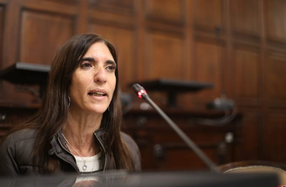 Natacha Eisenchlas aseguró en Aconcagua Radio que PSJ tendrá «exhaustivos controles»