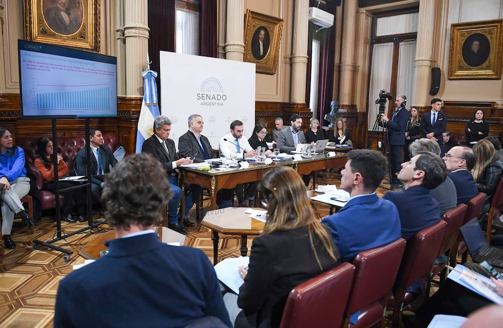 El Senado retomó hoy el plenario de comisiones de Presupuesto y Hacienda y de Trabajo y Previsión en el que se discute el proyecto que incrementa los haberes jubilatorios en un 8,1 por ciento y que modifica la fórmula de movilidad, por lo que podría haber dictamen. FOTO NA