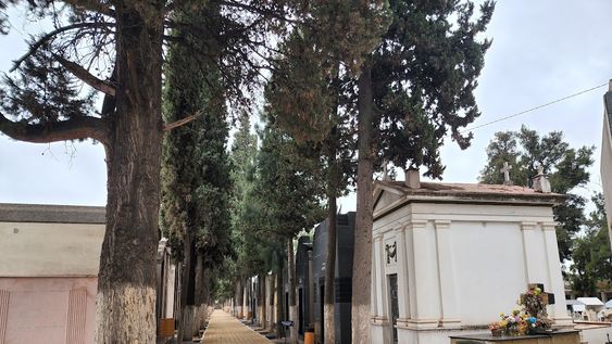 Un crimen narrado por la prensa de época, donde el silencio pesó más que las pruebas. Foto: Cementerio de Luján de Cuyo - Luciana Sabina&nbsp;