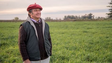 La cosecha de granos presenta cifras importantes, con disminución de soja, pero récords de maíz y trigo y crecimiento excepcional de los precios internacionales.