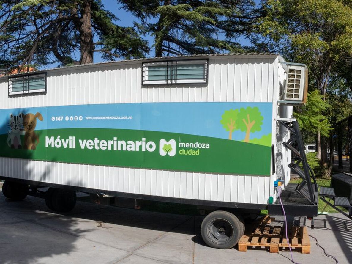 Ya se pueden sacar turnos por el 147 para castraciones y esterilizaciones gratuitas