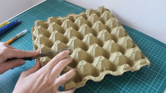 si tenes carton de maple de huevo, no lo tires, posees un tesoro en casa: dos formas de aprovecharlo