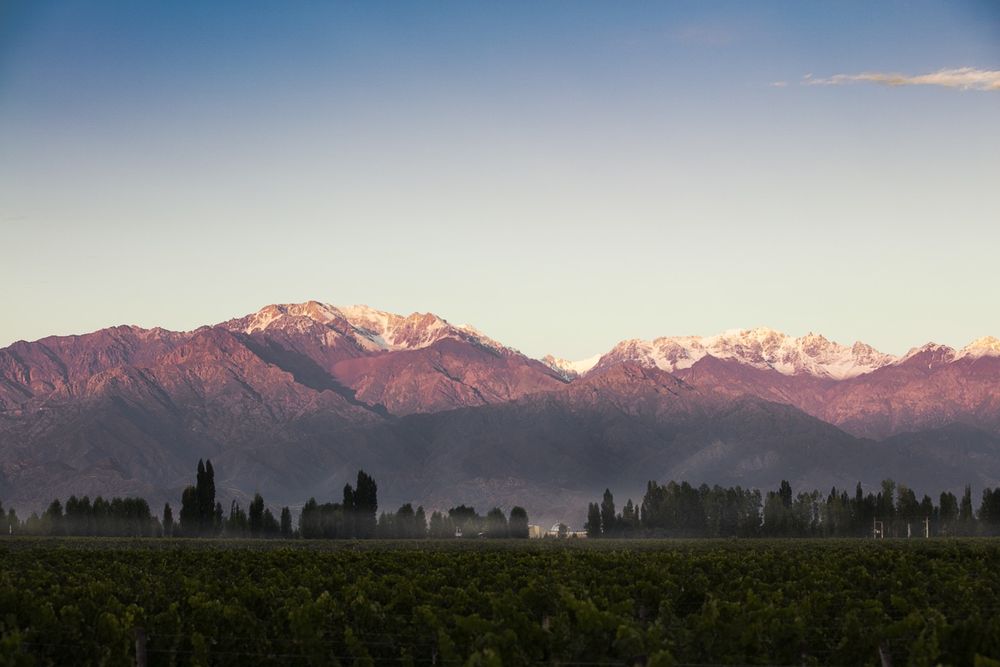 La Cordillera de los Andes domina el paisaje del Valle de Uco y acompaña cada amanecer entre viñedos y montañas. &nbsp;