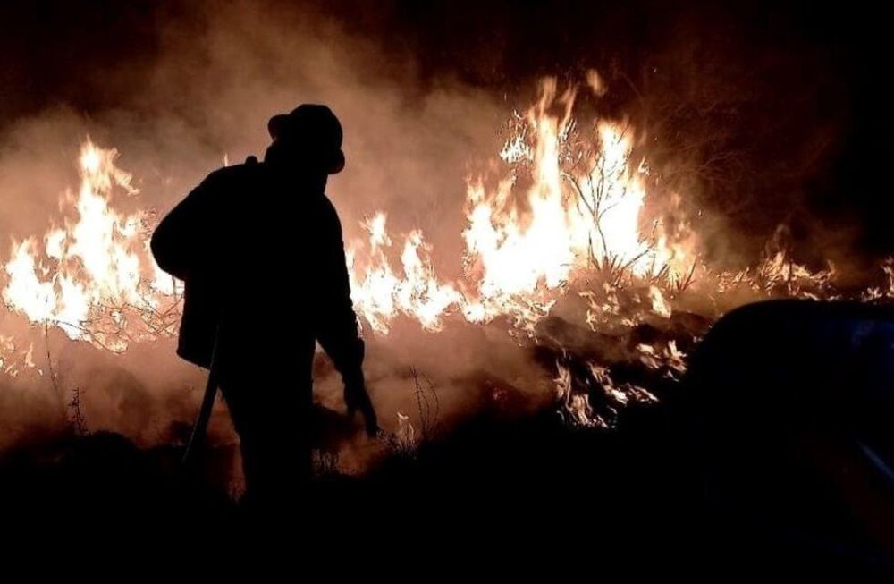 Dos estudiantes y programadores crearon una app para alertar sobre incendios de forma inmediata