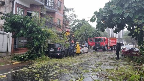 Temporal en Misiones