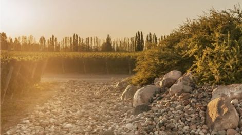Paraje Altamira ocupa un lugar central en las rutas del vino de Mendoza y alberga viñedos emblemáticos como Finca Piedra Infinita, de Bodega Zuccardi, reconocida a nivel internacional. &nbsp;
