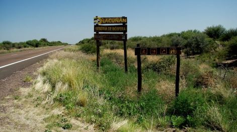 Reserva Ñancuñan.
