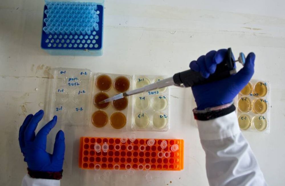 El aumento exponencial de las infecciones por sífilis llevó al Ministerio de Salud de Mendoza a implementar un curso de aprendizaje obligatorio para los trabajadores de la salud. 