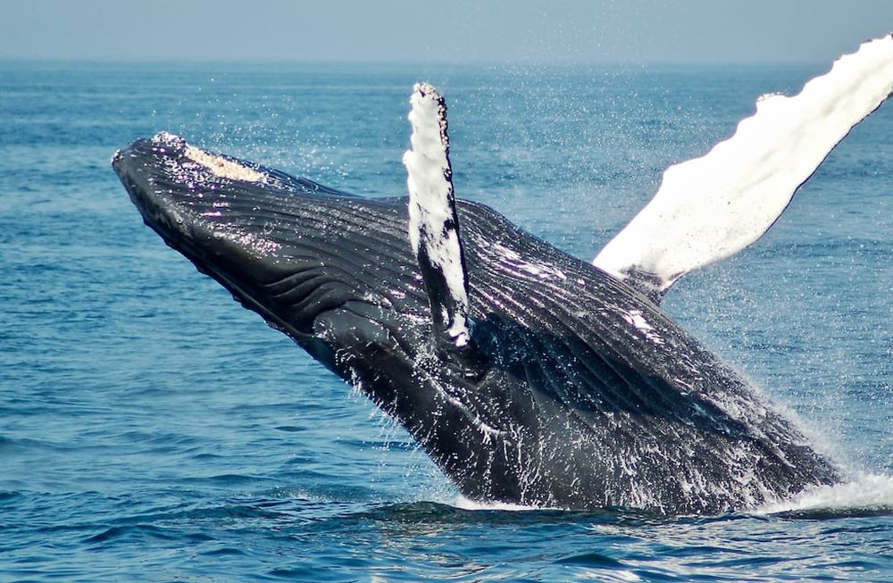 La compañía Civitavis ofrece una gran cantidad de opciones para que los argentinos y mendocinos puedan descansar durante el mes de julio. Gentileza: Civitatis.