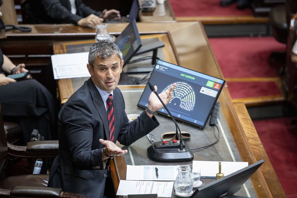 La Cámara de Diputados aprobó esta tarde el proyecto oficial de reforma electoral que incluye la suspensión de las PASO para el corriente año, por lo que la iniciativa deberá ser debatida ahora en las sesiones extraordinarias del Senado.
